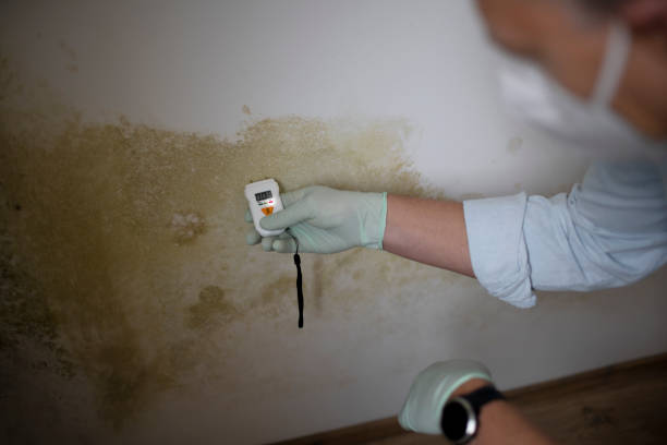 Best Crawl Space Mold Remediation in Gibbsboro, NJ